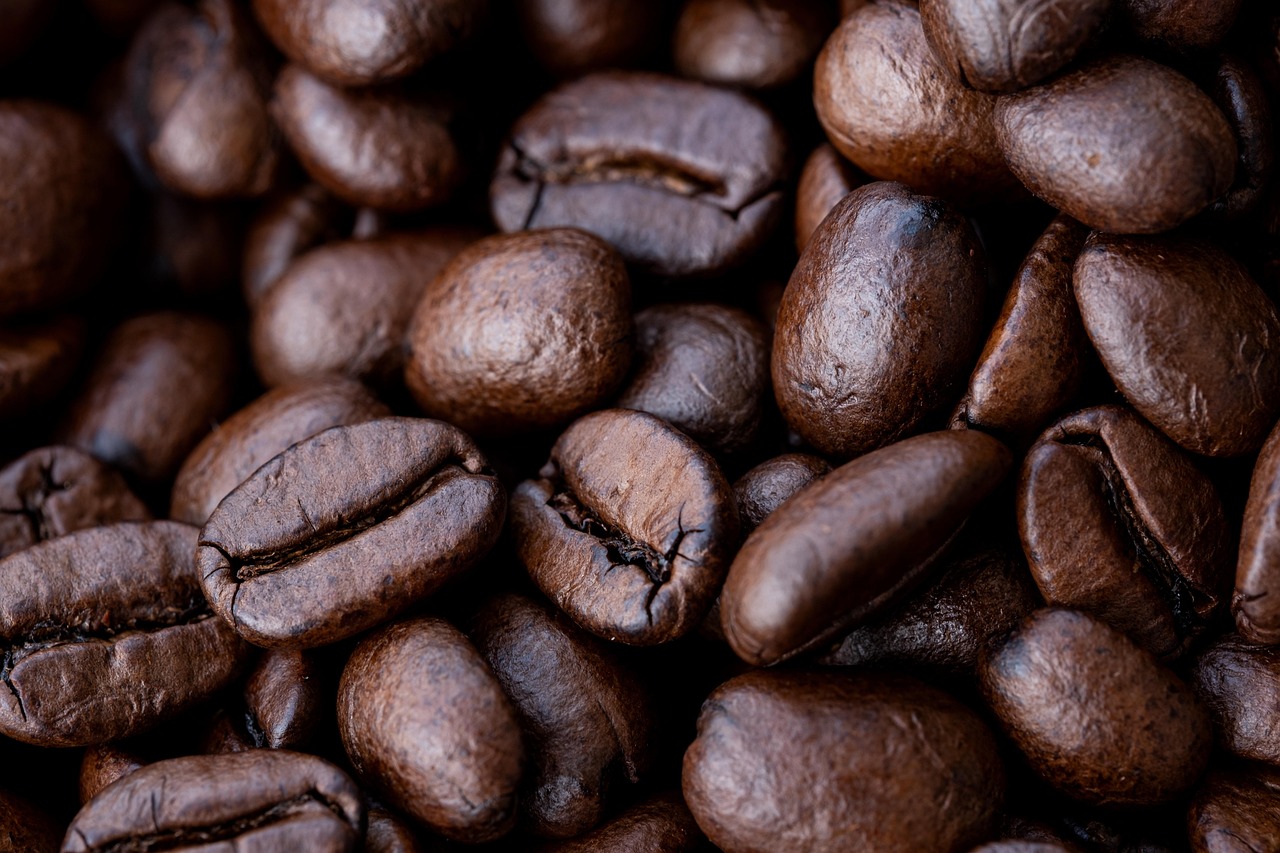 キャンプ場ならではのコーヒー体験